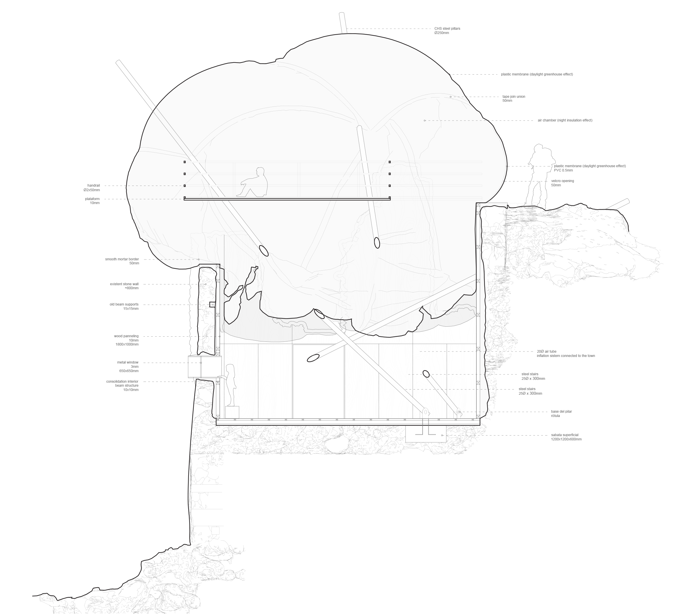 Section