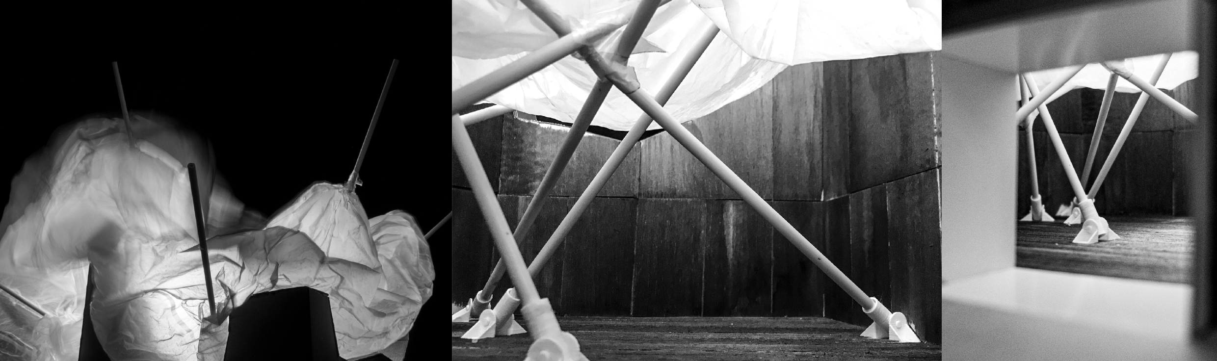 Physical model — structure and membrane