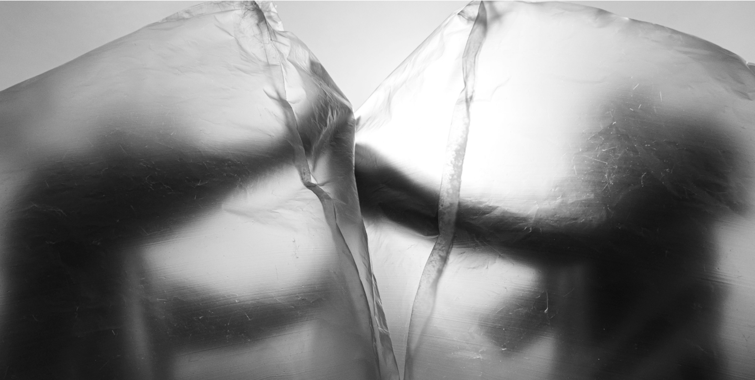 Model — membrane detail, backlit