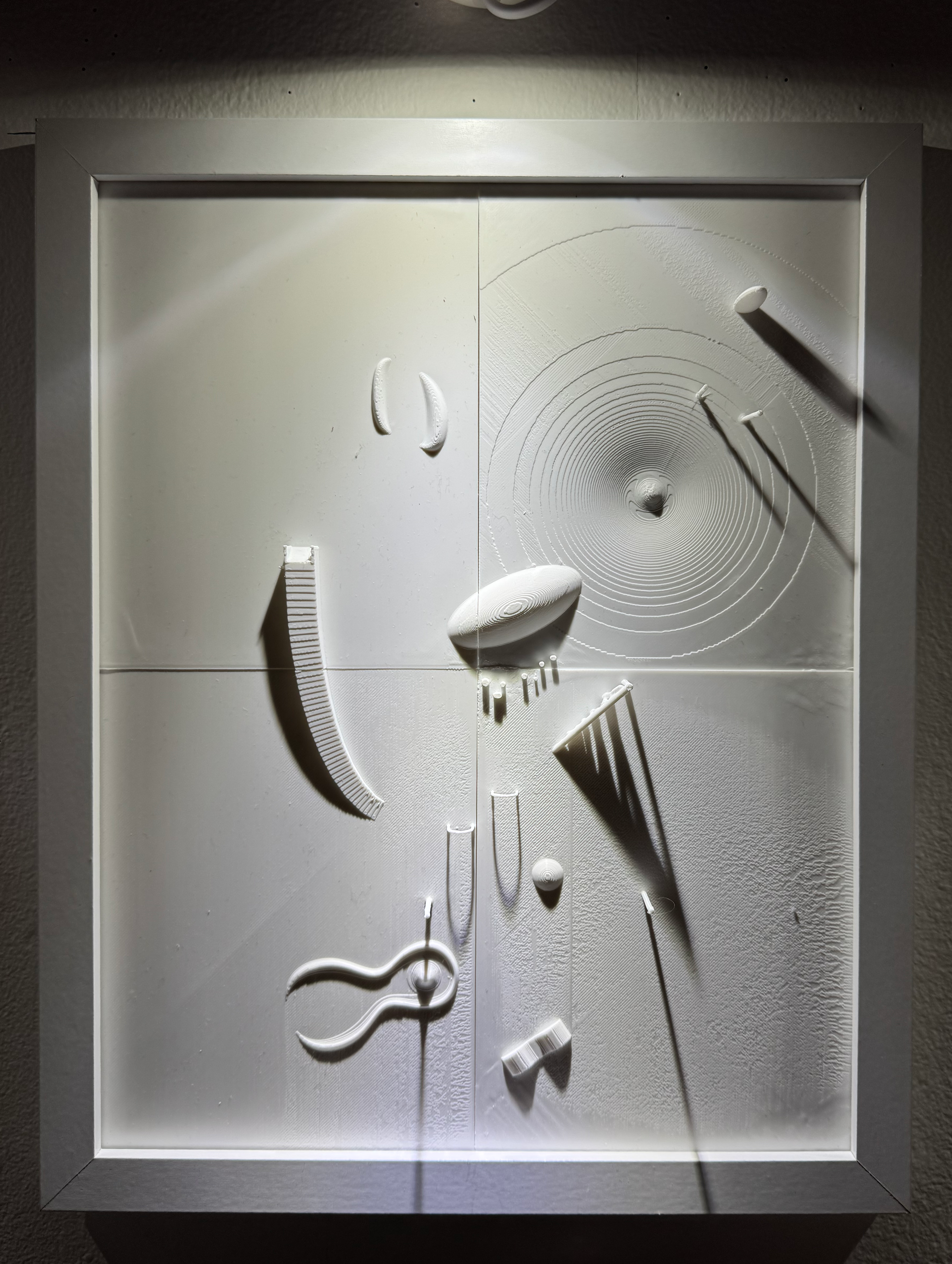 White relief study — coiled and spiral forms