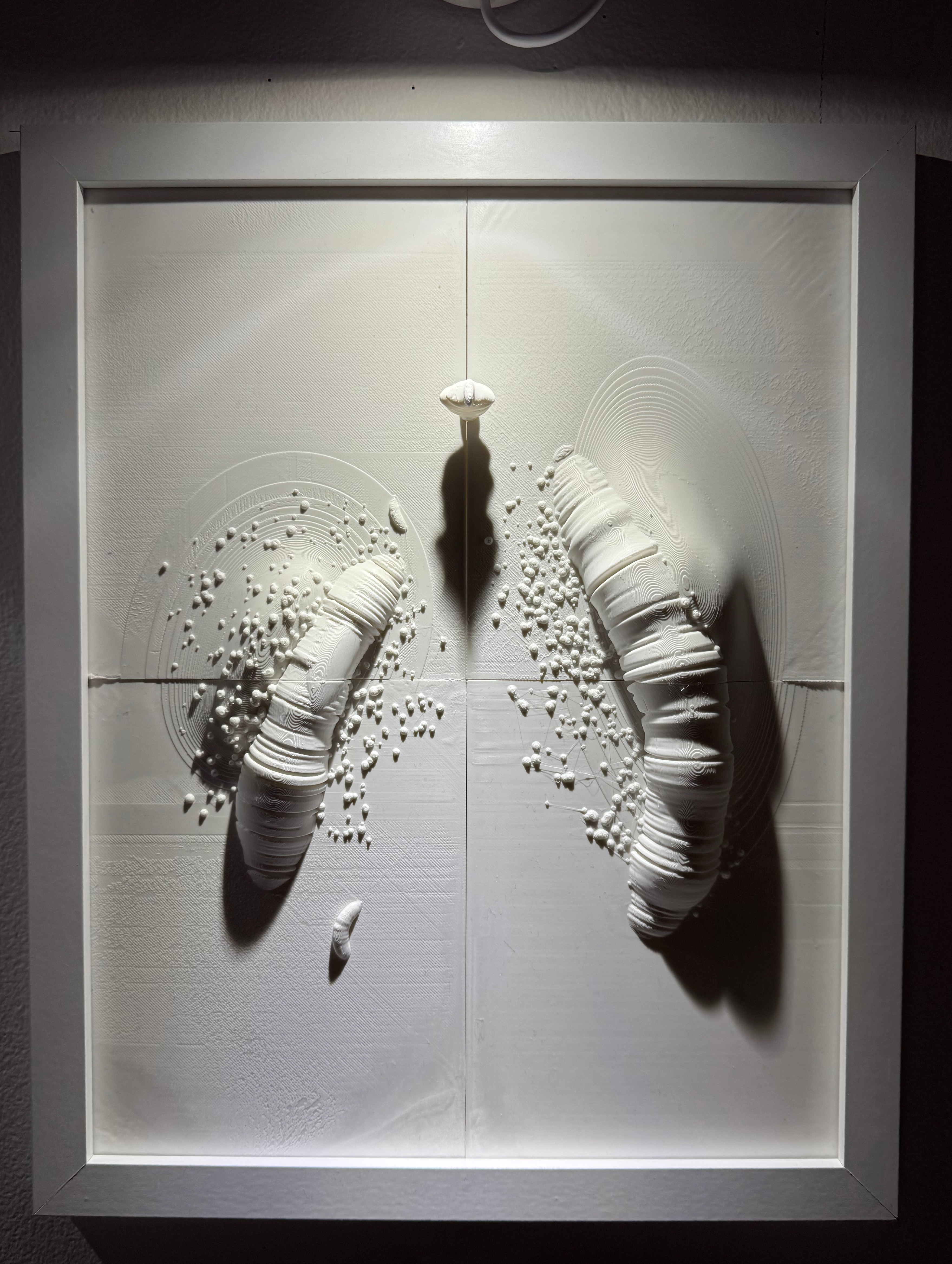 White relief study — granular tendrils