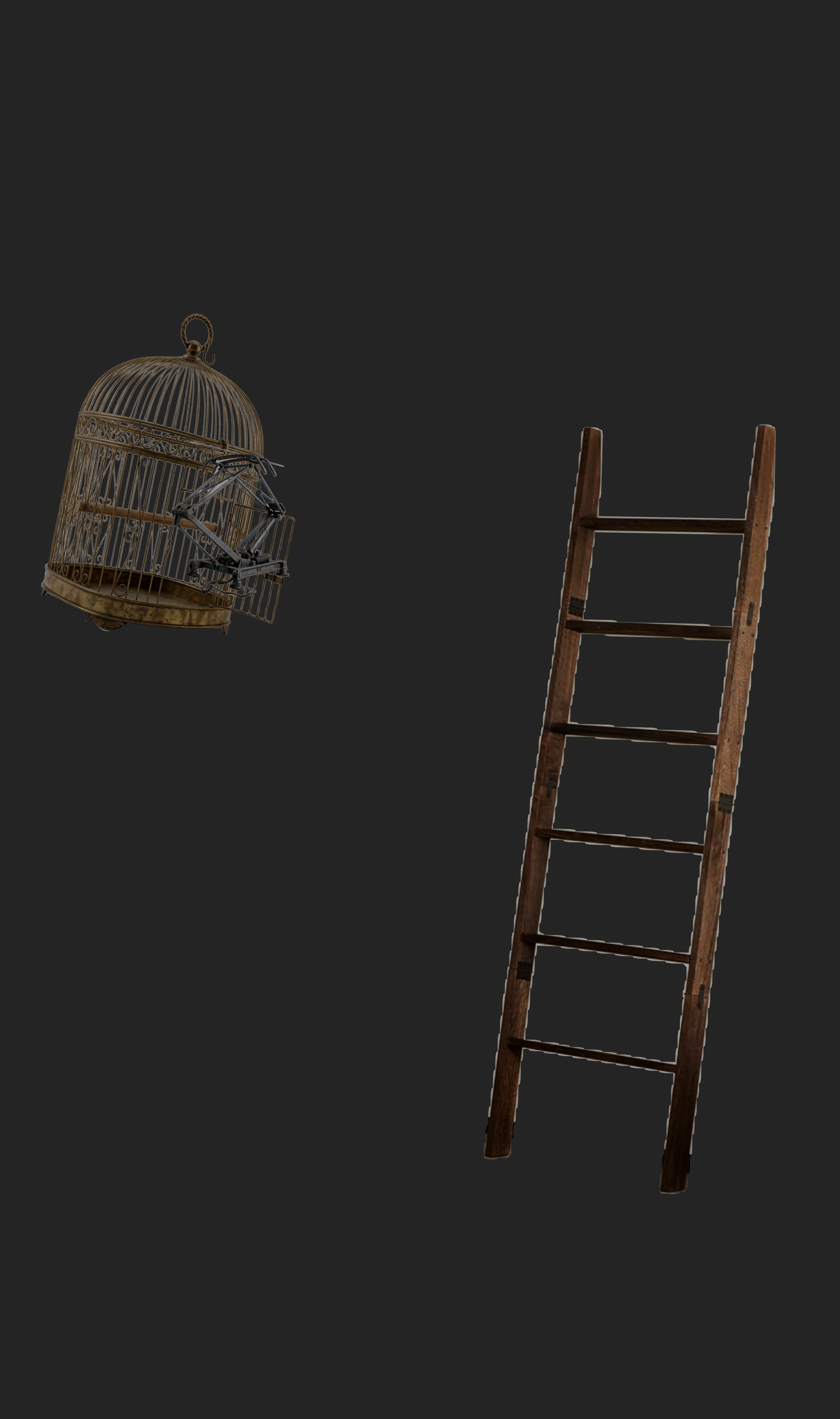 A gilded birdcage and a wooden ladder floating in darkness